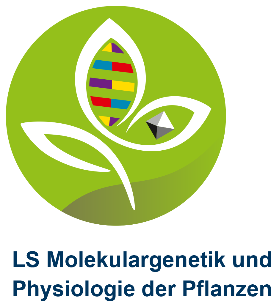 Logo Lehrstuhl für Molekulargenetik und Physiologie der Pflanzen